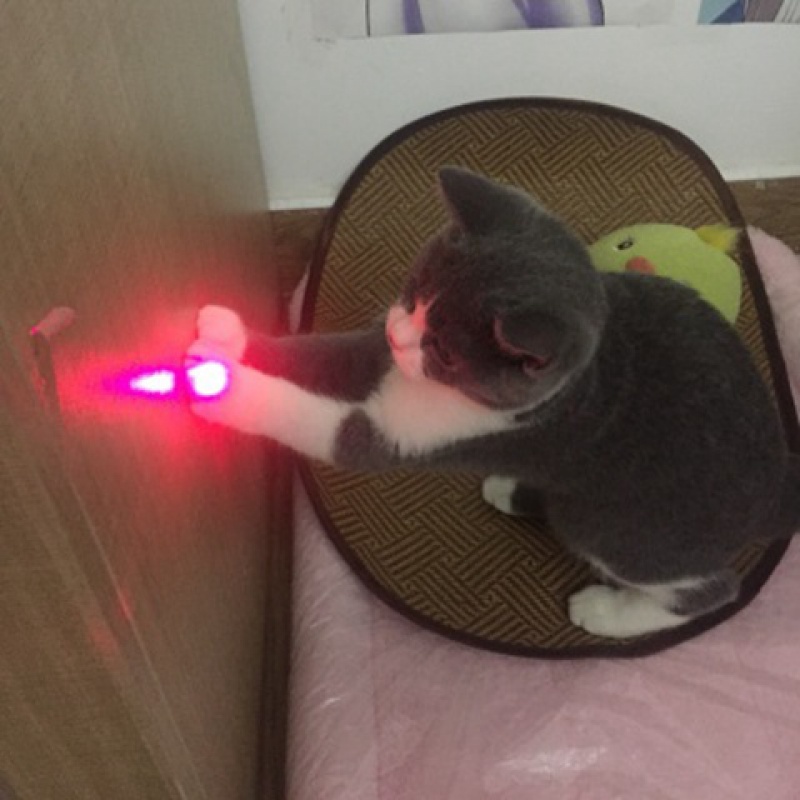 激光逗猫猫咪玩具红外线镭射射灯沙盘售楼教鞭新娘配件