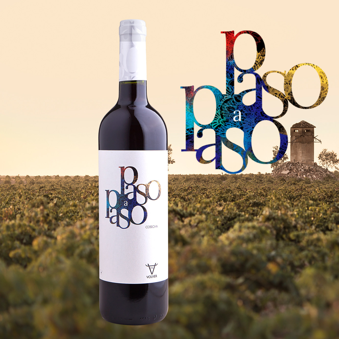 西班牙原瓶原装进口红酒整箱正品索科斯卡红葡萄酒餐酒干红静态葡萄酒