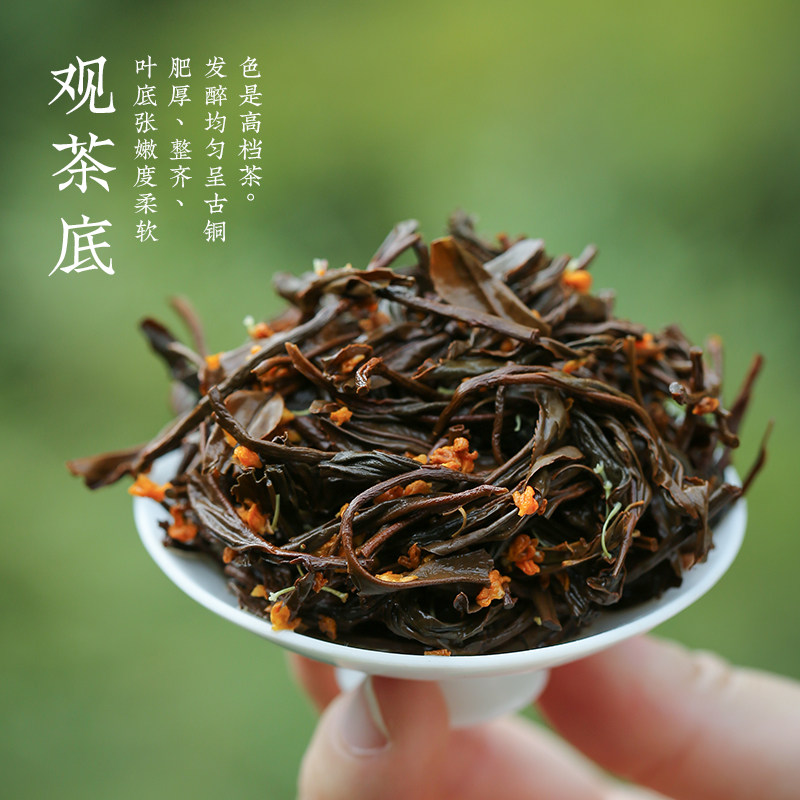 品润桂花红茶茶叶正山小种特级罐装2021新茶花正山小种