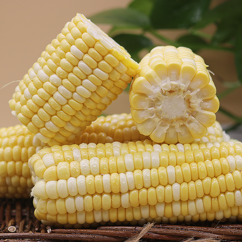 玉米新鲜云南水果金银双色10斤现摘爆浆牛奶新鲜玉米