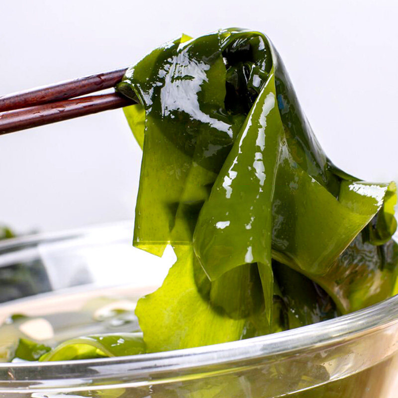 新鲜裙带菜海嫩火锅韩式海带汤芥菜