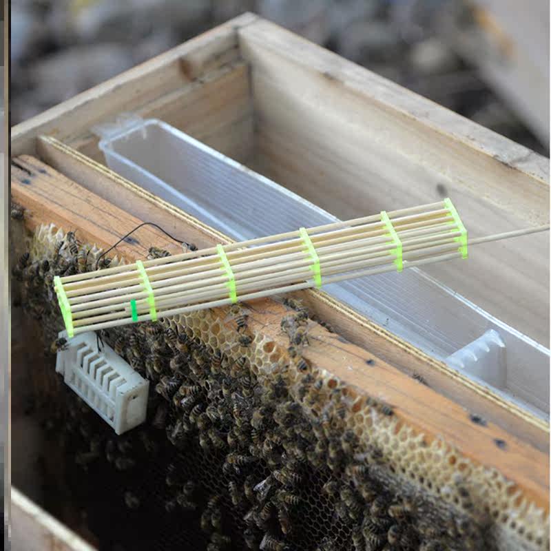 新款五节加长王笼囚王笼中蜂专用防逃器蜜蜂扣王笼养蜂工具20个装