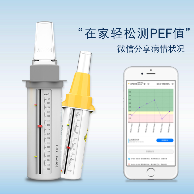 科卡峰流速仪儿童成人呼气哮喘肺功能监测肺活量峰速仪吹嘴风速仪