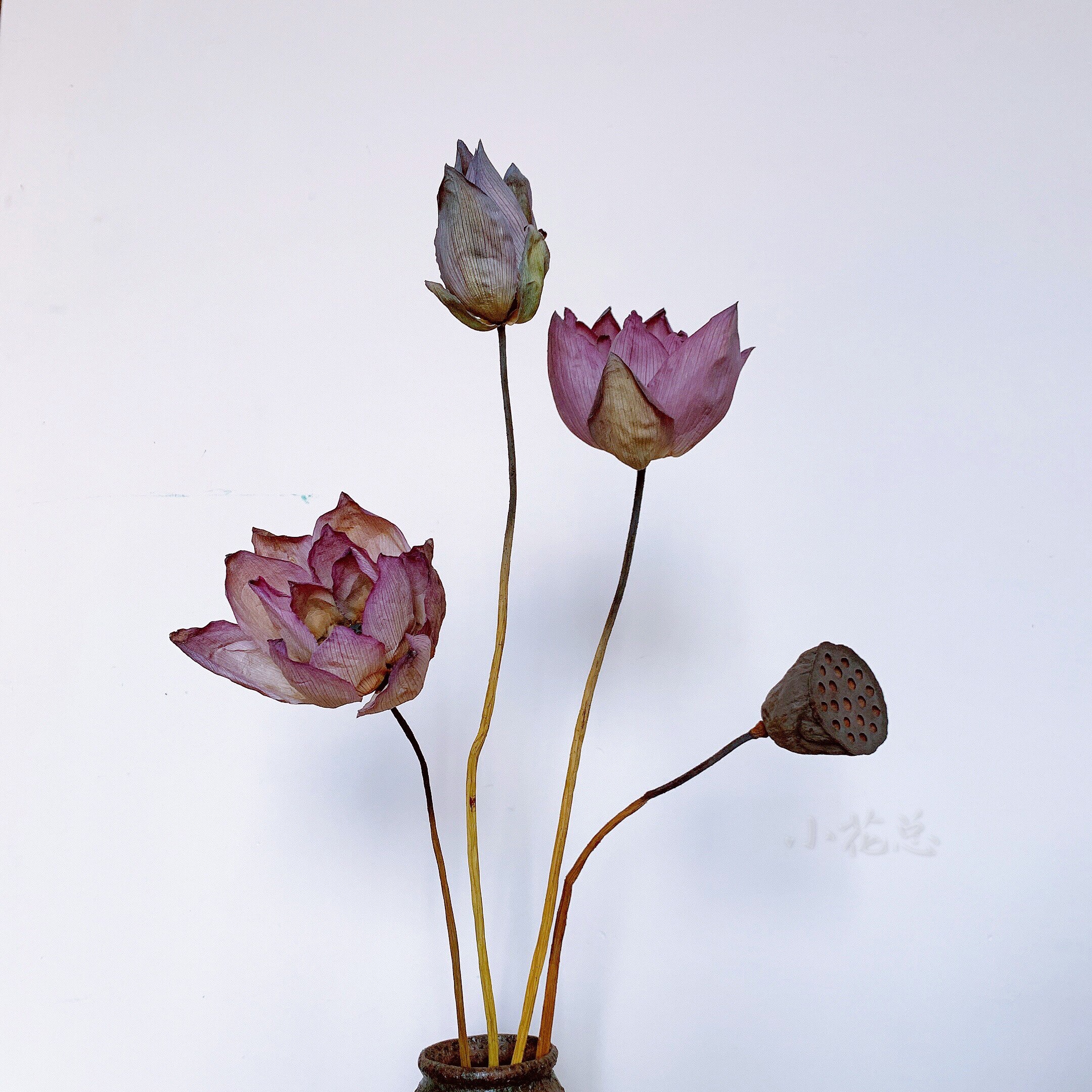 天然风干真花荷花永生花原杆莲蓬复古禅意插花干花