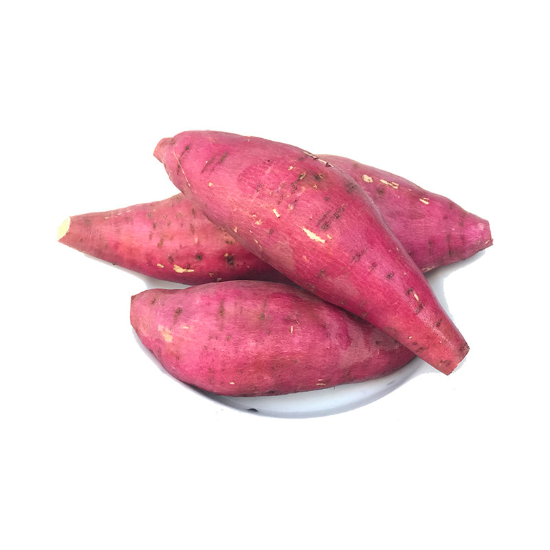 新鲜蜜薯湖南本地红薯糖心5斤当季现挖红心番薯