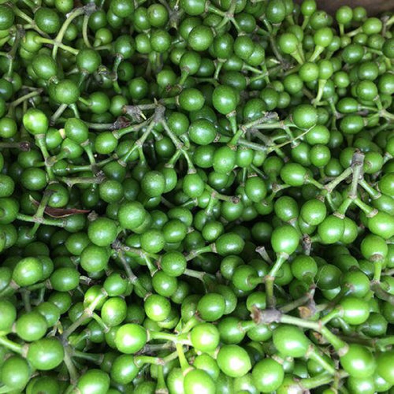 四川特产野生山胡椒新鲜当季整箱木姜新鲜山木浆其它