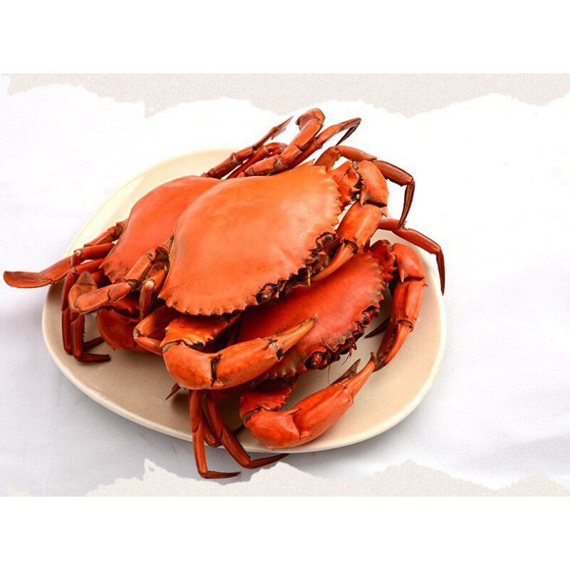 鲜活蟹重皮蟹黄油蟹胜大闸蟹广东特产腌蟹青蟹