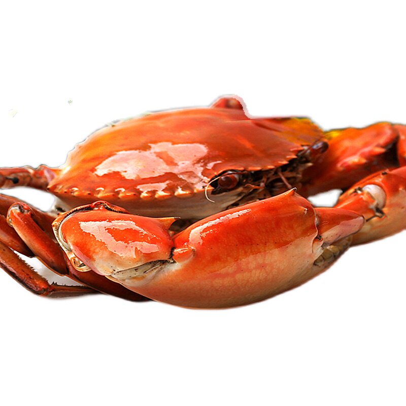 蟹满满螃蟹 青蟹新鲜特大 超大红鲟海鲜野生水产 膏蟹2斤顺丰包邮