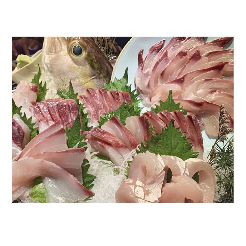 自家饲养鲜鱼放血刺身章红日料章红鱼红甘1斤金枪鱼