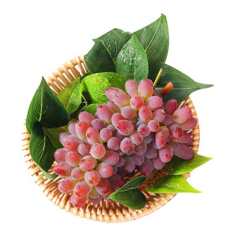 新鲜顺丰包邮3斤茉莉香葡萄水果当季采摘农家葡萄