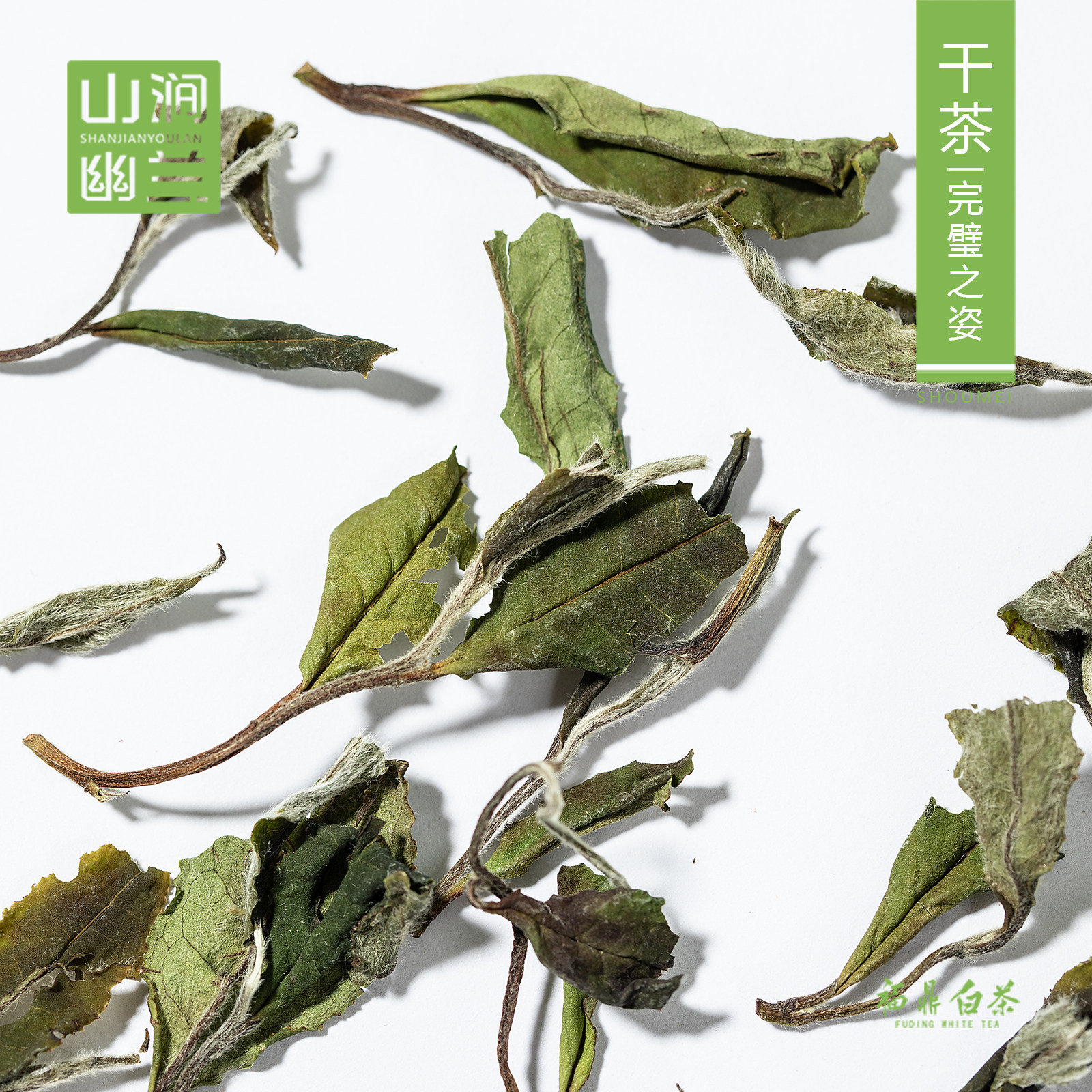 正宗福鼎白茶荒野寿眉2020新茶太姥山高山茶叶寿眉