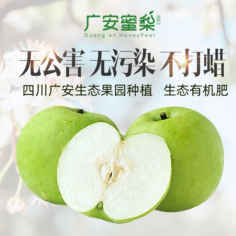 特级精品6个广安蜜梨四川特产华蓥山新鲜翠冠梨