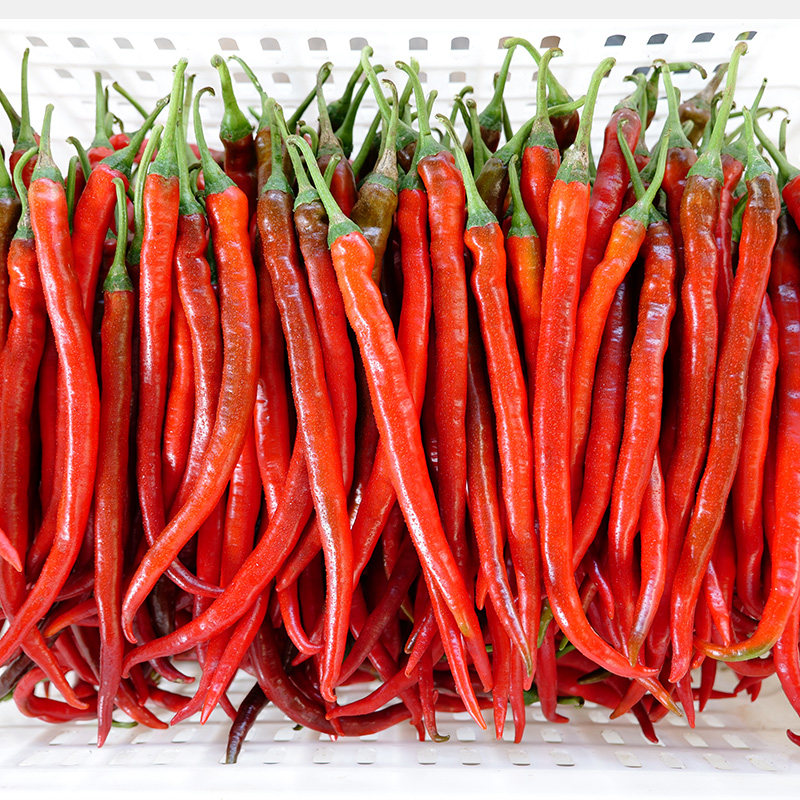 四川红辣椒新鲜红二荆条薄皮红线5斤农家自种辣椒