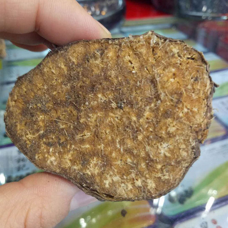 鱼饵饵料阿魏阿魏根包邮新疆正宗中药材钓鱼专用鱼饵