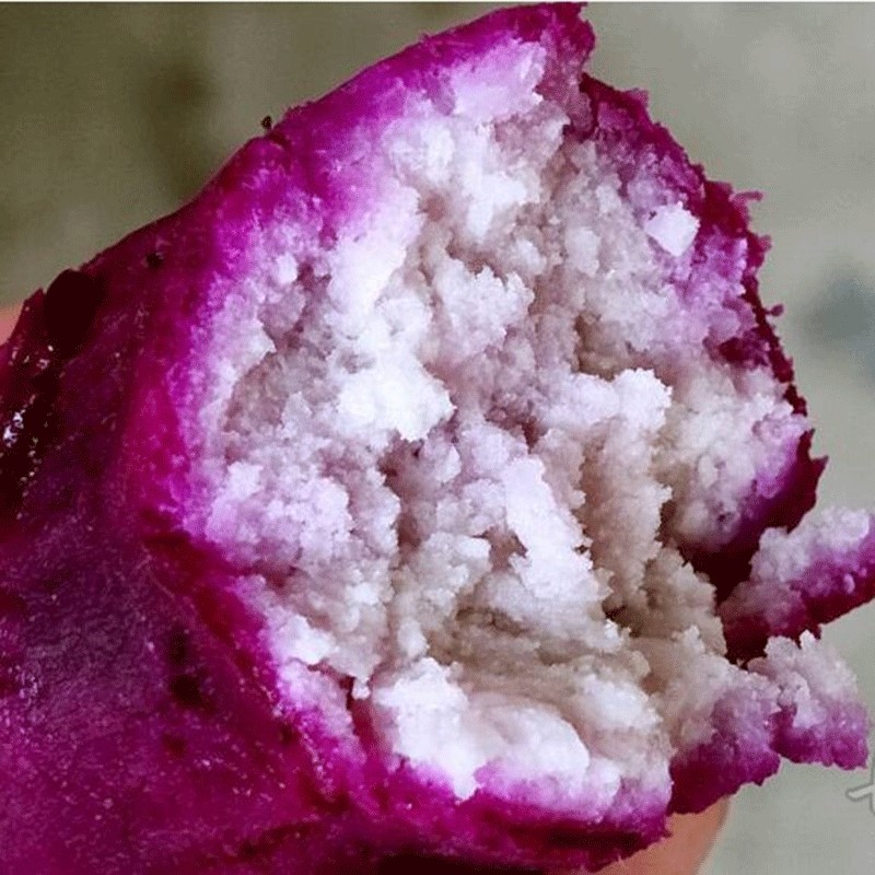 新鲜紫皮白肉山药现挖脚板农家紫淮山毛薯蔬菜手机保护套