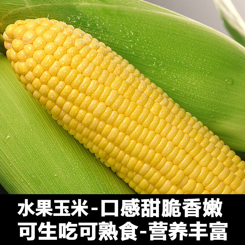 净重9斤海南水果玉米大棒新鲜现摘可生生吃手机保护套