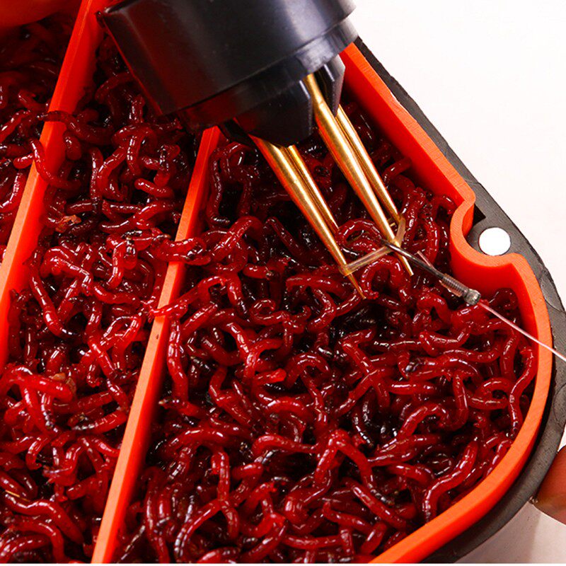 鲜活红虫特大号公虫活体活饵鱼饵拉饵鲫鱼野钓鱼饵