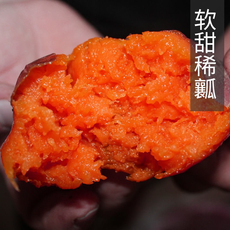 红薯红暮农家新鲜山东烤箱现货糖稀散装蜜汁手机保护套