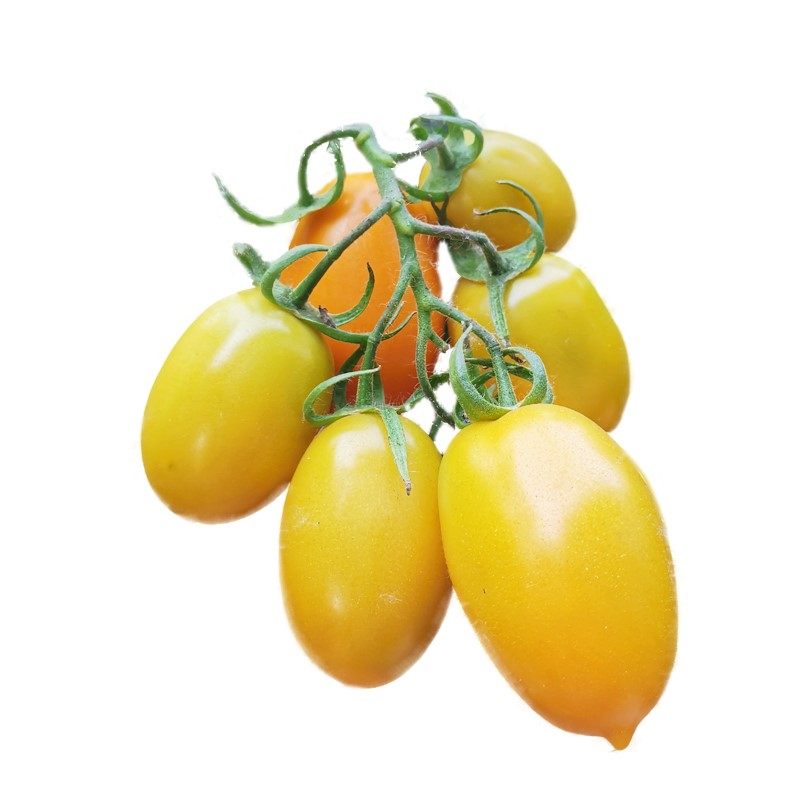 奶香现摘柿子橙色5斤新鲜一串番茄黄番茄黄罗曼手机保护套