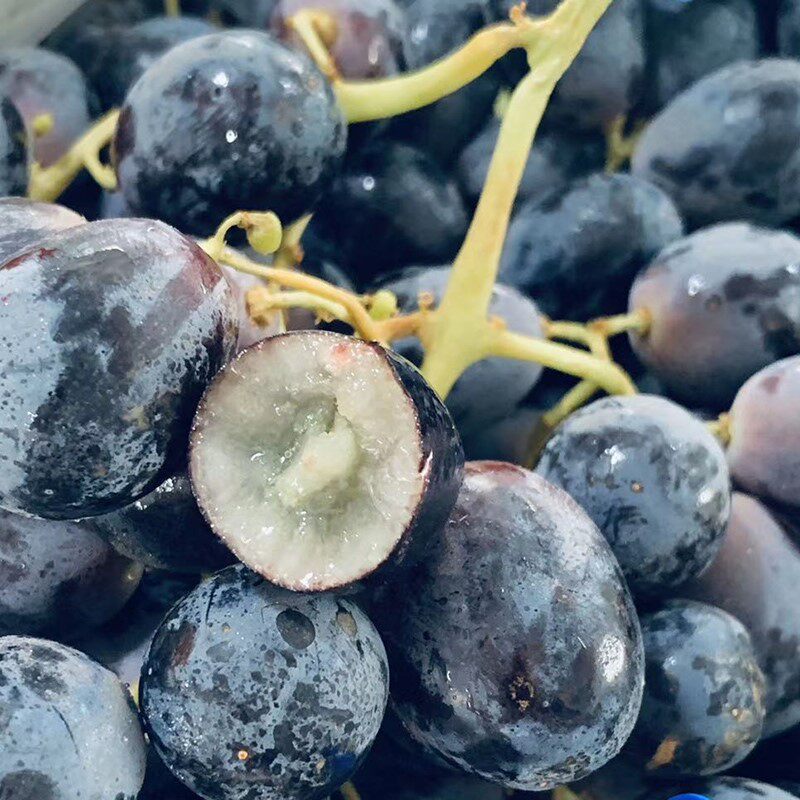 秘鲁无籽2斤新鲜葡萄黑加仑进口提子时令水果手机保护套