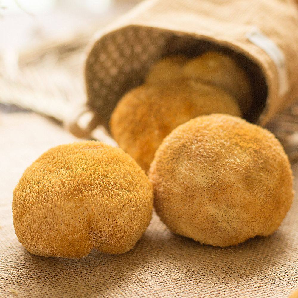 菌菇250g食材优选送礼滋补煲汤特产不好干货猴头菇