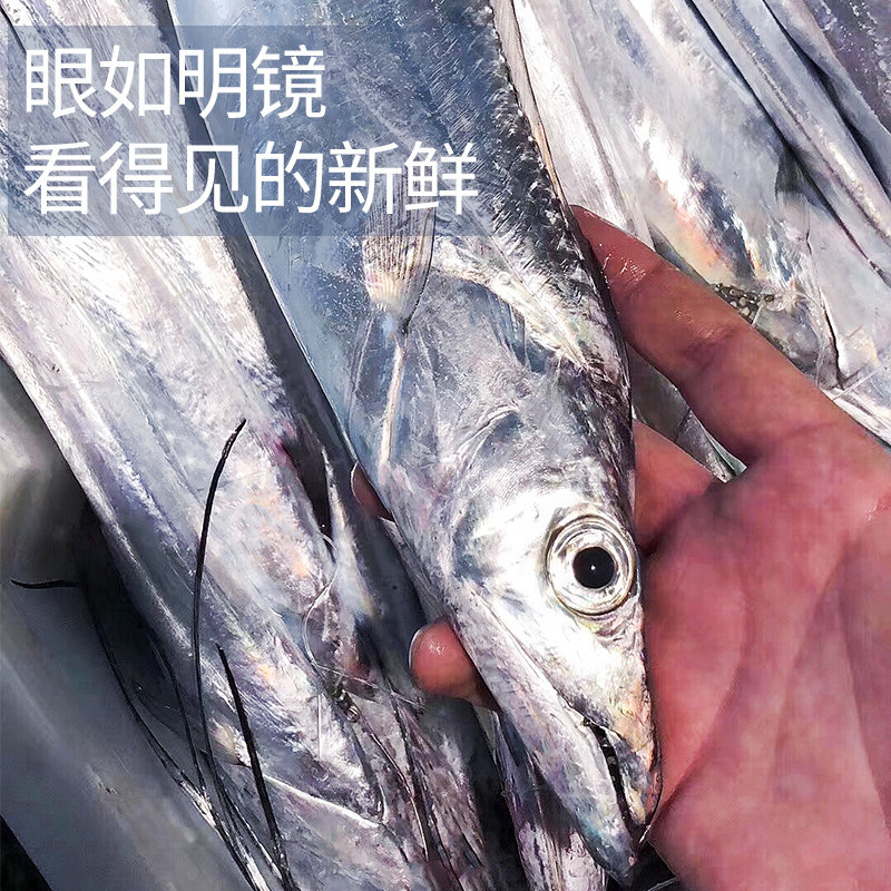 舟山带鱼新鲜冷冻级大刀鱼鲜活深海东海小眼睛带鱼