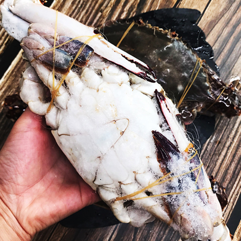 舟山梭子鲜活冷冻特大螃蟹液氮红膏水产海鲜梭子蟹