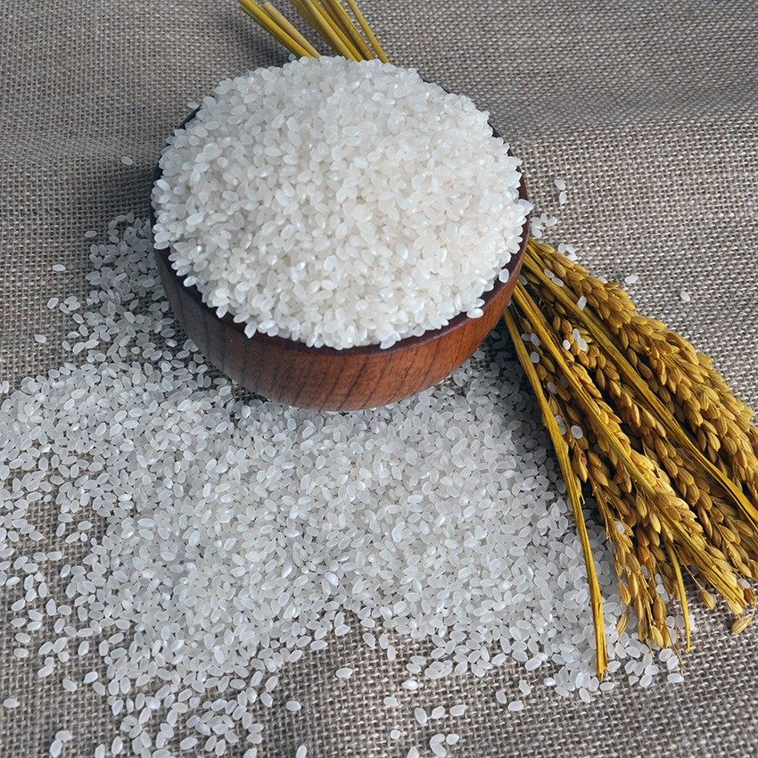 大米河南开封南马原生态5kg新米农家香米家乡大米