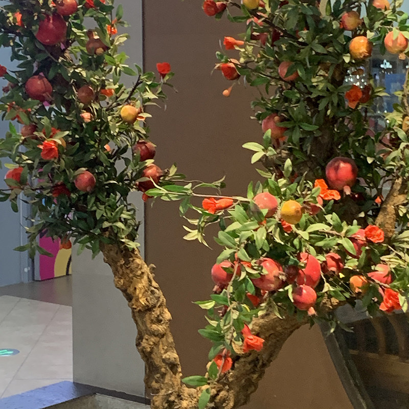 仿真石榴树新中式造景落地植物假树摄影道具仿真绿植