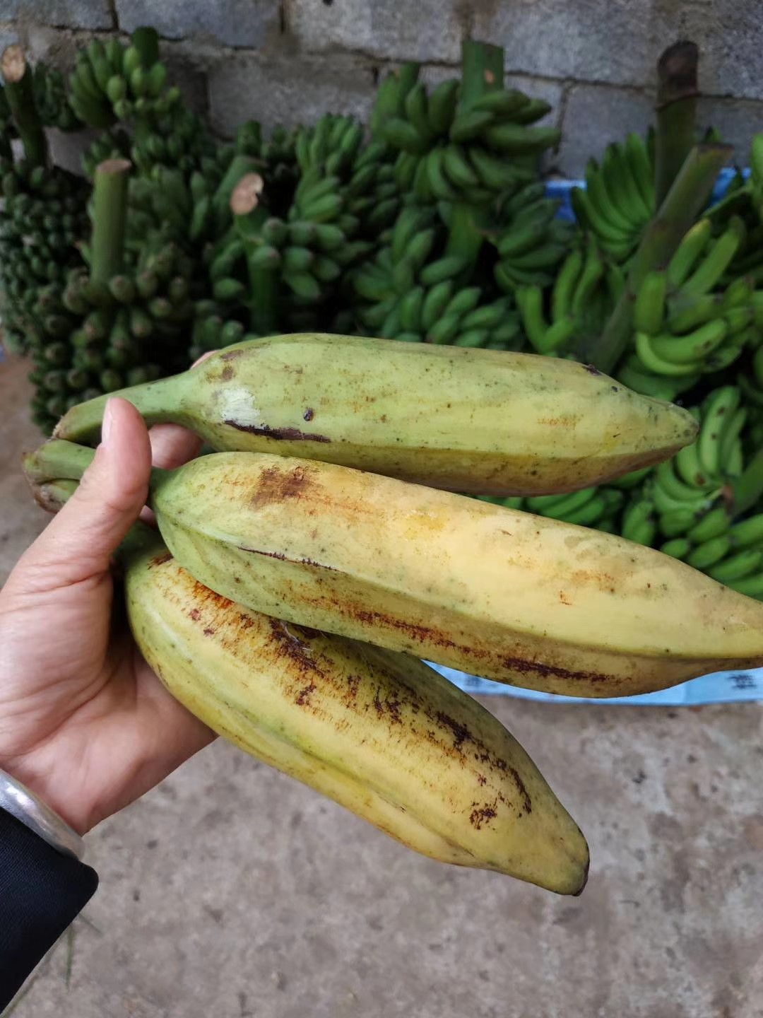 芭蕉酸甜当季新鲜水果香蕉10斤带箱手机保护套