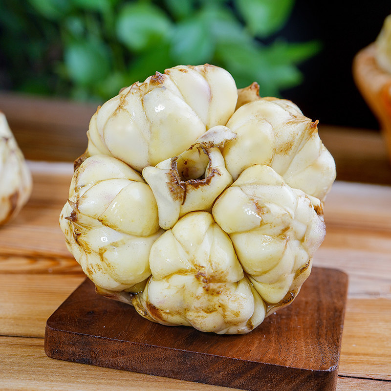 百合新鲜现挖卷食用微苦药用湖北恩施白荷当季新鲜百合