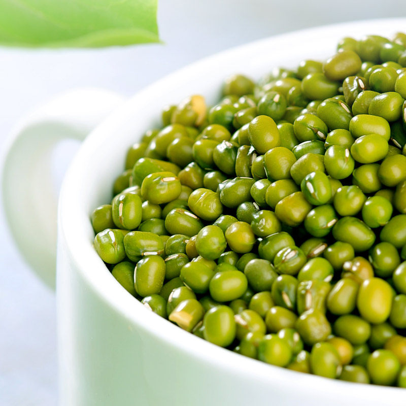 绿豆农家小绿豆杂粮颗粒饱满肉多皮薄1000g非500g
