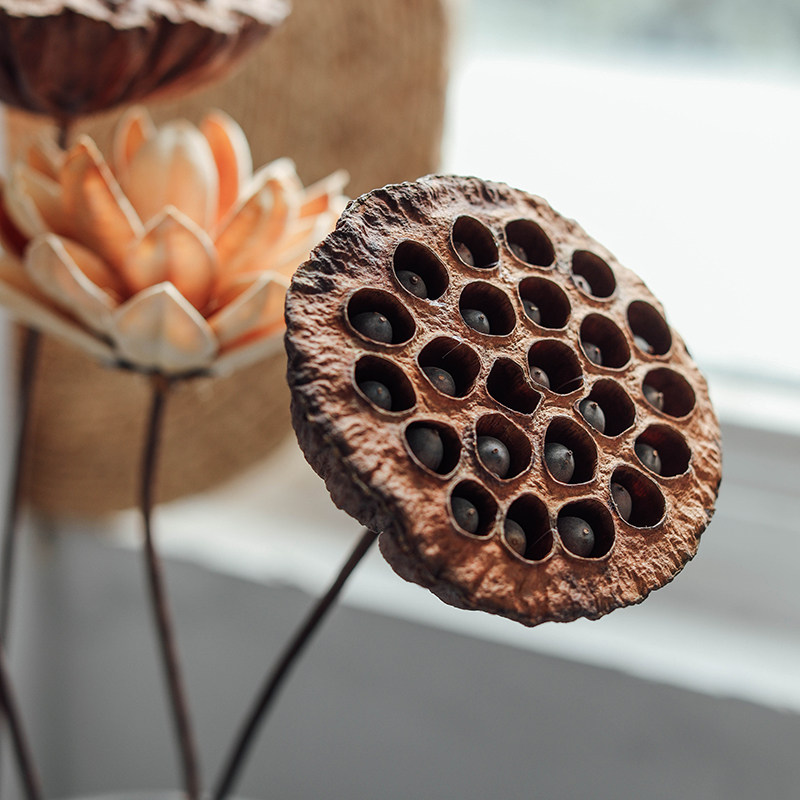 muzhi木直莲蓬天然干花禅意软装茶社民宿装饰干花