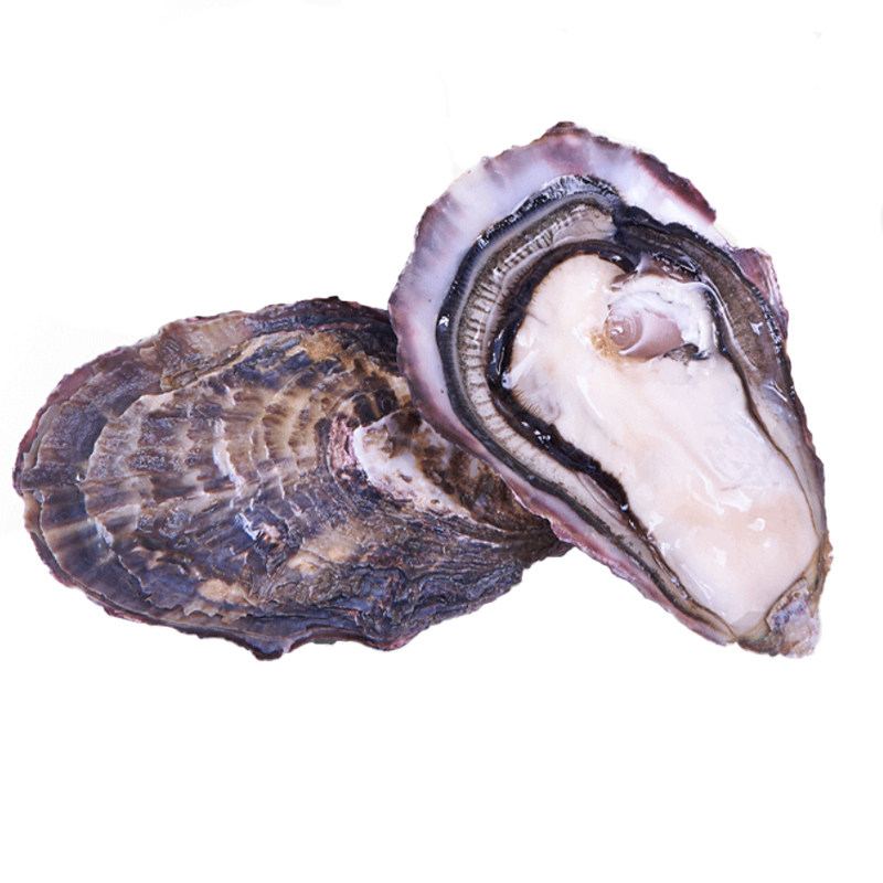 韩国150180g12粒xl鲜活蚝刺人生美人进口生蚝