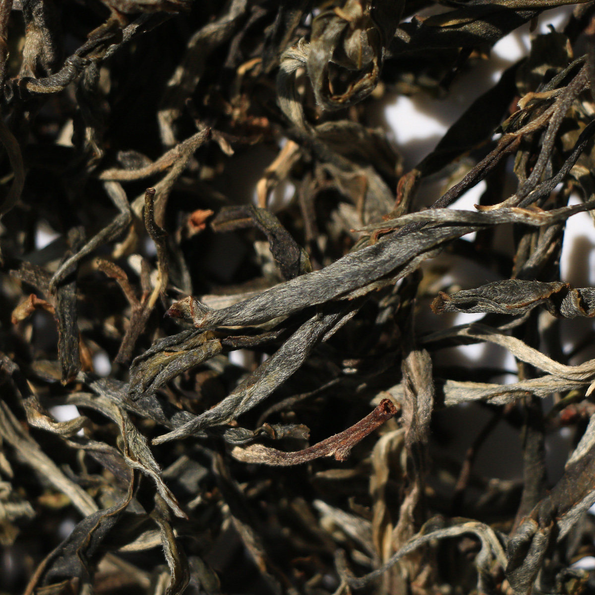 2022春茶预售易武弯弓小高普洱茶茶饼云南南生普洱