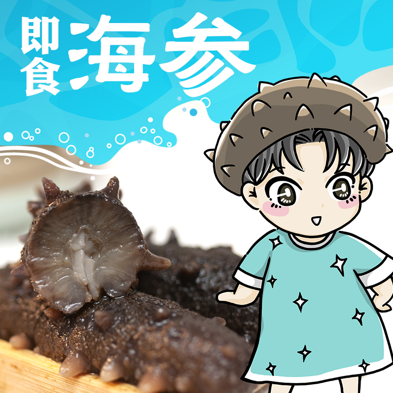 海参原岛佳品即食500g大连鲜活海生刺参单个海参