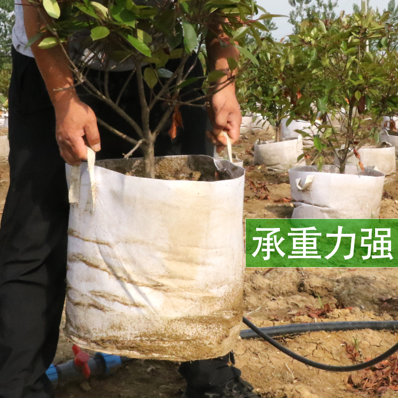 园林绿化工程加厚无纺布植树袋种植移栽美植袋育苗袋