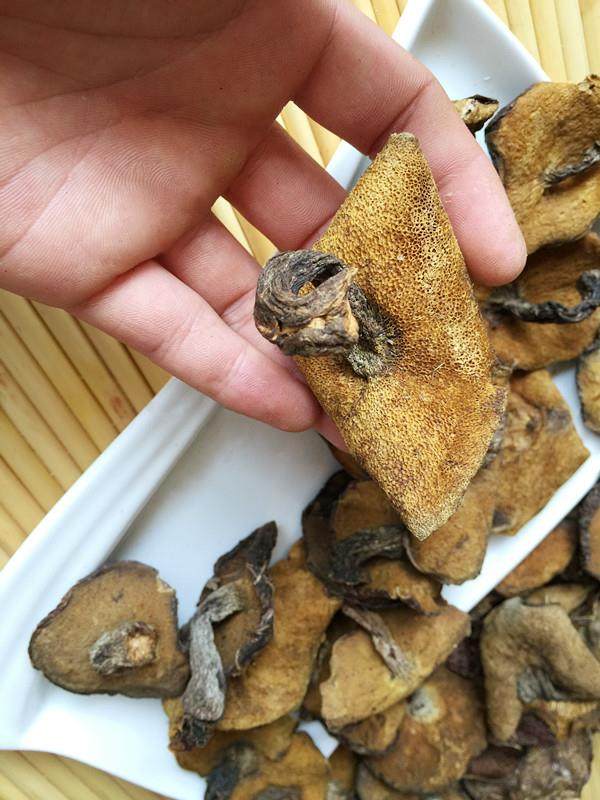 崂山蘑菇野生小鸡松蘑松菇青岛特产包邮香菇类