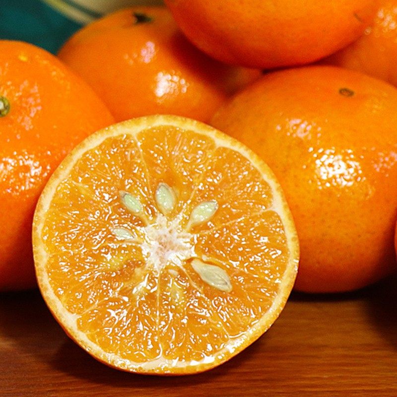 bollo宝露沃柑6斤礼盒装大果桔子当季新鲜蜜柑橘子水果11月农产品