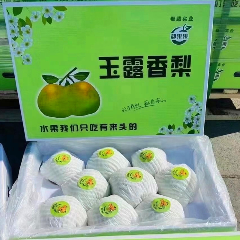 现货山西玉露香梨礼盒盒装7斤大果脆甜多汁梨