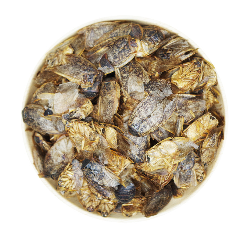 中药材蜇虫地鳖土鳖过街簸箕50克蛰虫另有土元其他药食同源食品