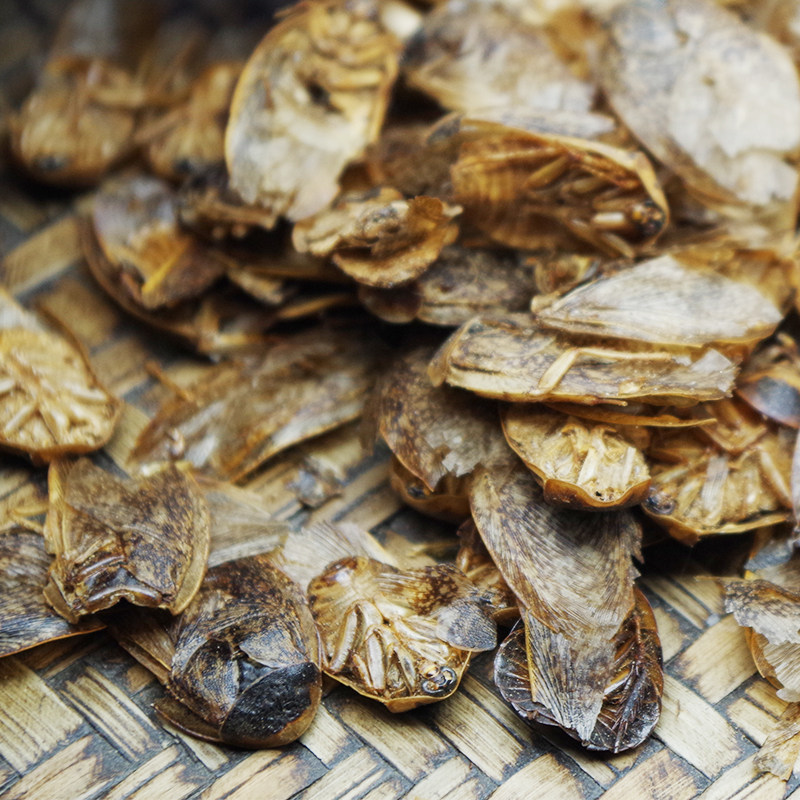 中药材蜇虫地鳖土鳖过街簸箕50克蛰虫另有土元其他药食同源食品