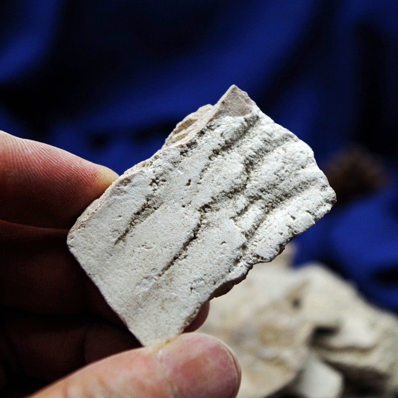 人中中白28元全店白粉磨人免费秋霜白秋霜非煅人其他药食同源食品