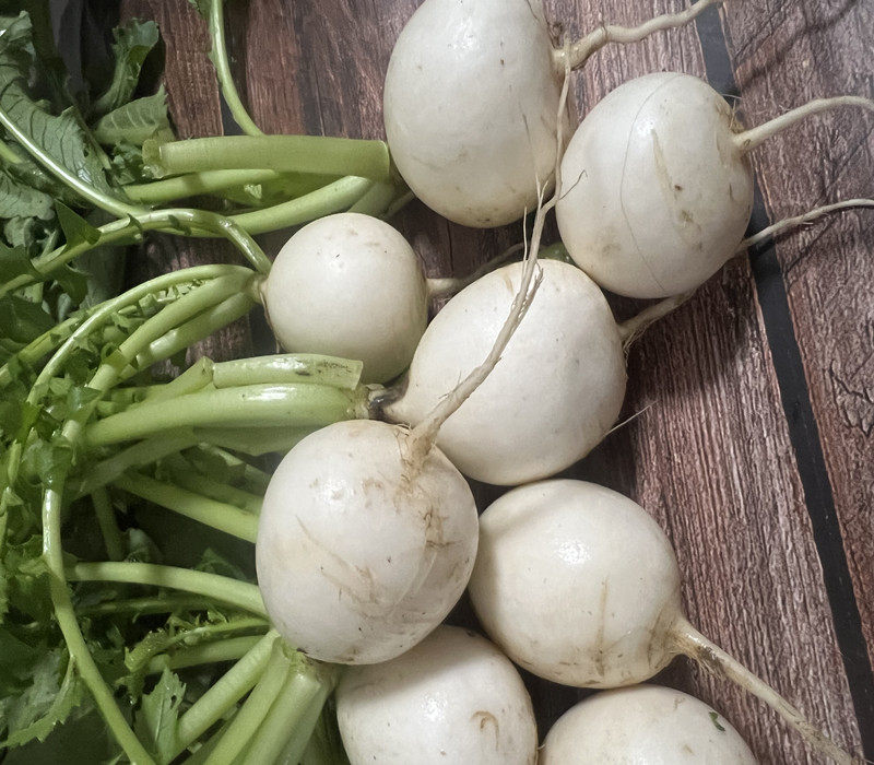 萝卜安徽无为特产白萝卜新鲜蔬菜农家小萝卜头酸辣萝卜