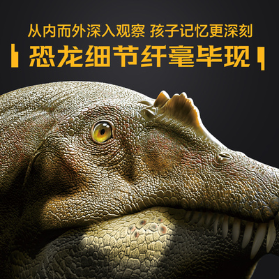 pnso恐龙博物馆棘龙埃辛秘密科普百科