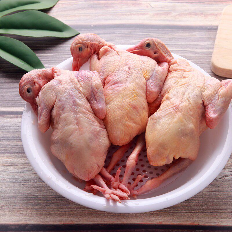 鸽子新鲜丽鲜语乳鸽生鲜现杀3只包邮散食用其它鸽类