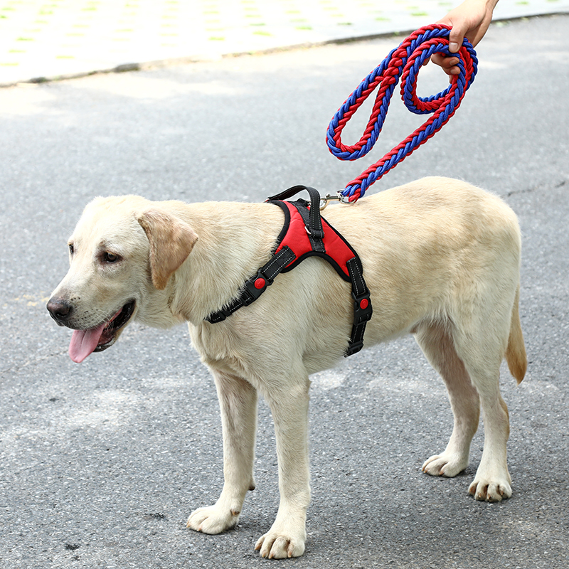 狗狗牵引绳背心式遛狗绳子胸背带金毛二哈拉布拉多中大型犬狗链子