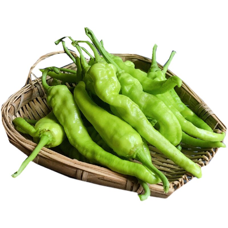 山里花食龙游白辣椒新鲜采摘青椒农家自种应季蔬菜衢州特产土辣椒