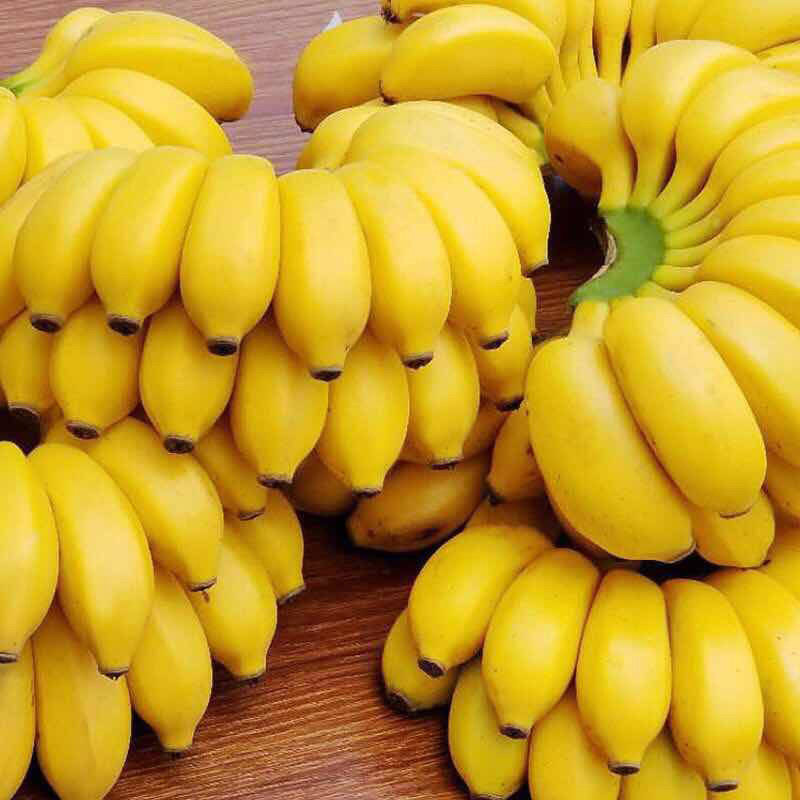 数乡宝藏网红苹果蕉3斤起时令鲜香现摘香蕉应季水果粉蕉整箱包邮