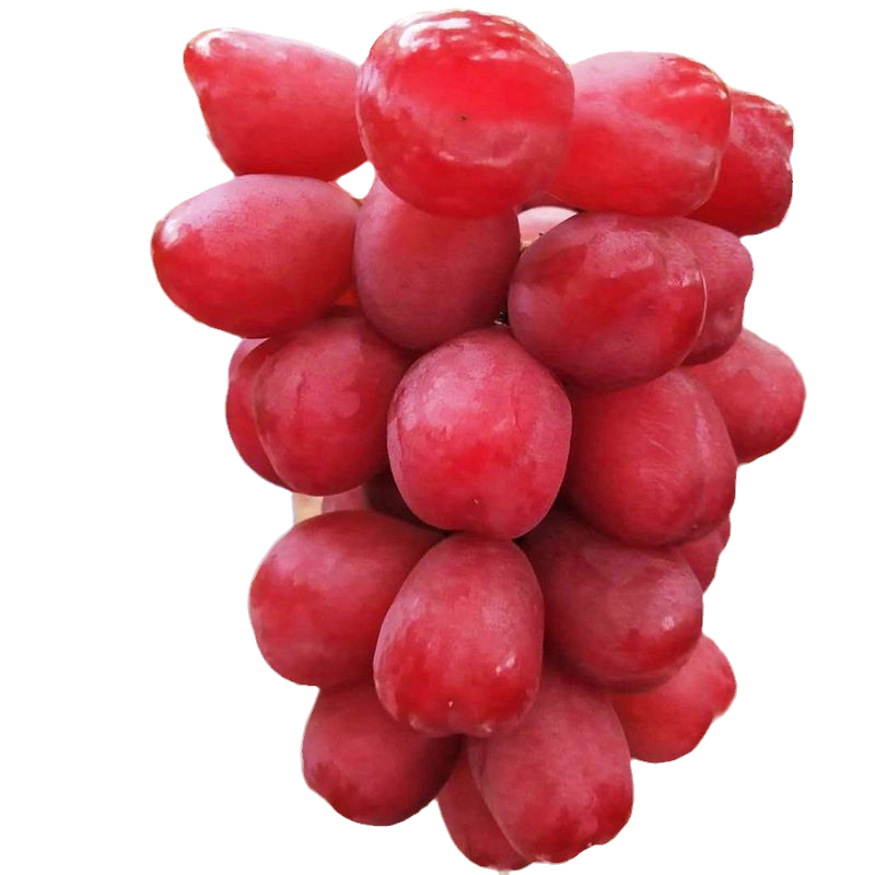 现摘现发新鲜浪漫红颜葡萄无籽一级孕妇水果葡萄